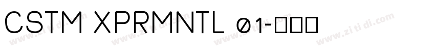 CSTM XPRMNTL 01字体转换